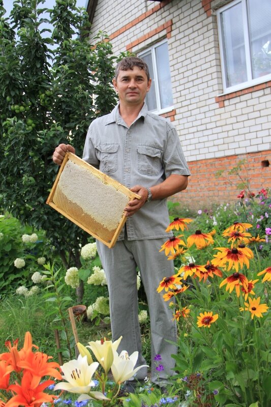 Сельский туризм Сельский туризм